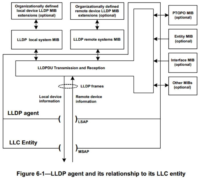 LLDP 结构图
